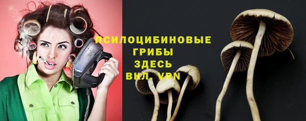 гашиш Арсеньев