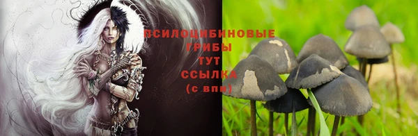 кристаллы Аркадак