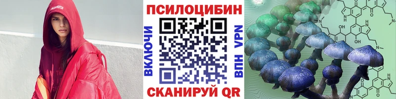 Псилоцибиновые грибы Cubensis купить Белая Холуница